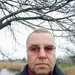 , 53, 