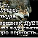 ���� ������, ������, 39 ��� - ��������� 6 ������� 2026 � ������ ���� ����������