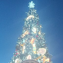 ���� �����, ���������, 47 ��� - ��������� 21 ������ 2024