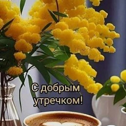 ���� ���, ������, 72 ���� - ��������� 6 ����� 2024