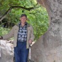 ���� ���������, ������, 77 ��� - ��������� 18 ������� 2025 � ������ ���� ����������