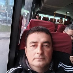 , 53 , 