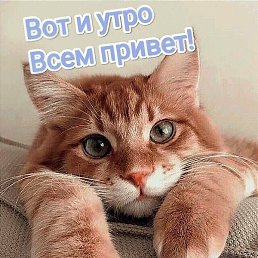 , , 59 