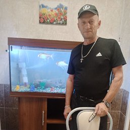 , 56, 