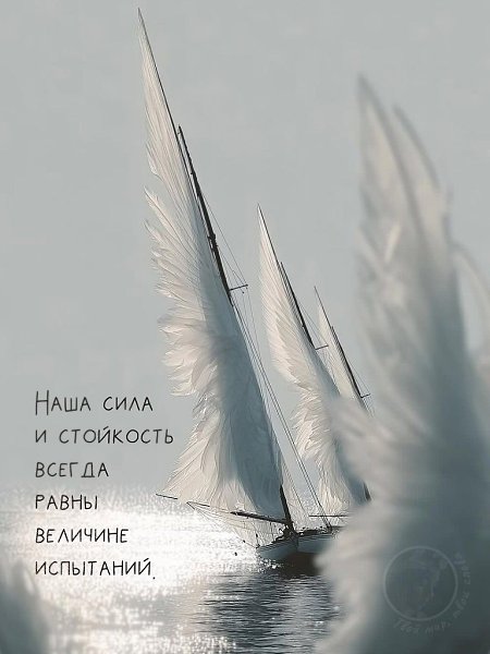 �������� ������ - 30 ������ 2026 � 16:55