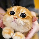 ���� ����, �����-��������� - ��������� 17 ������� 2024 � ������ ���� ����������