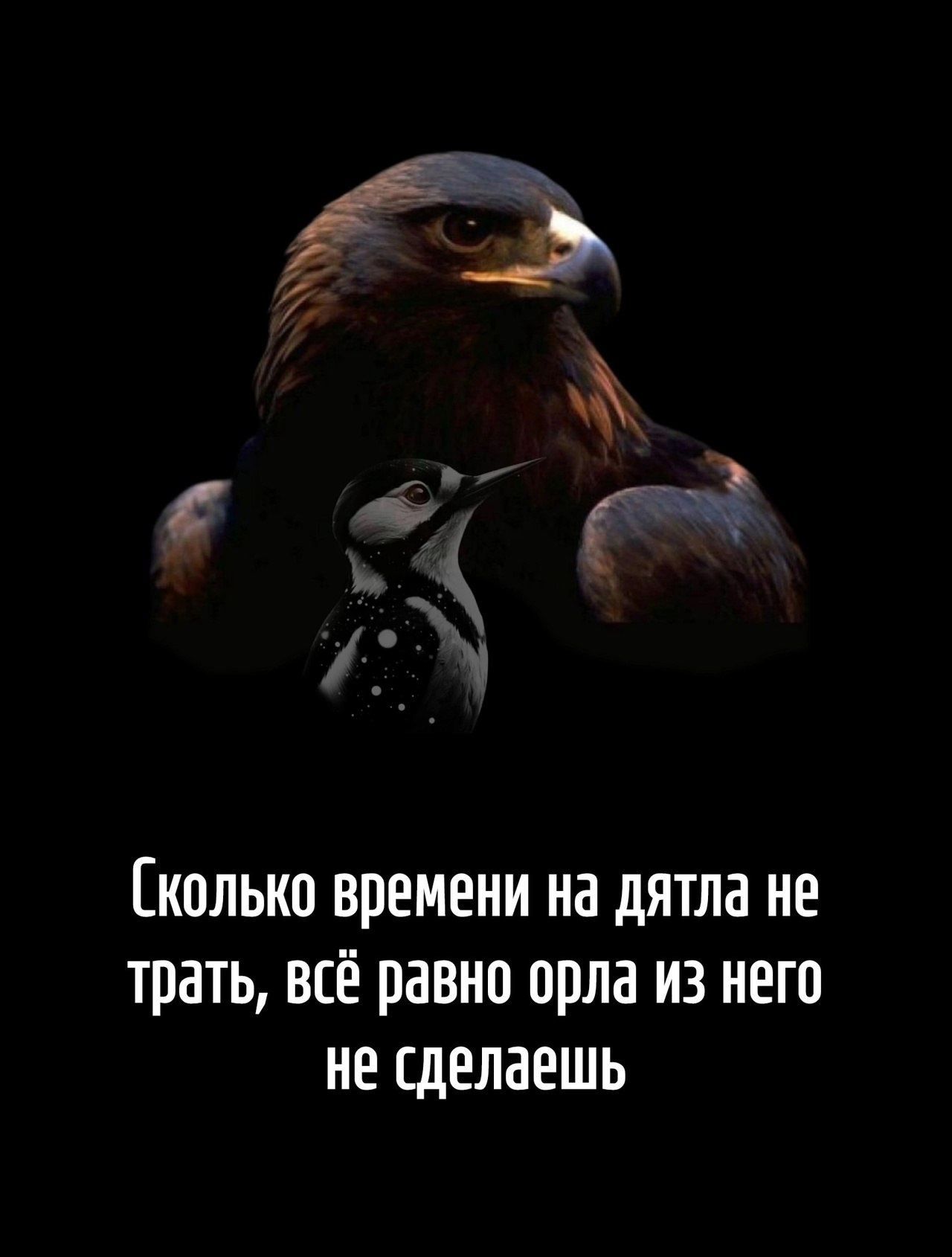  - 20  2025  05:41