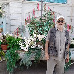 , 61, -