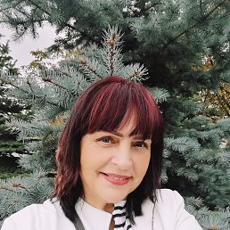 , 59, 