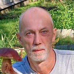 �����, ������, 62 ����