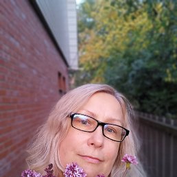 , 48, 