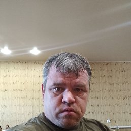 ���� ������, ���������� �����, 40 ��� - ��������� 4 ������� 2026