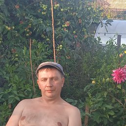 , 48, 