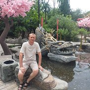 �������, 41 ���, ������������