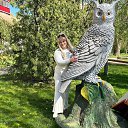 ���� �������, ����� - ��������� 8 ��� 2025 � ������ ���� ����������