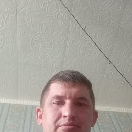 , 38 , 