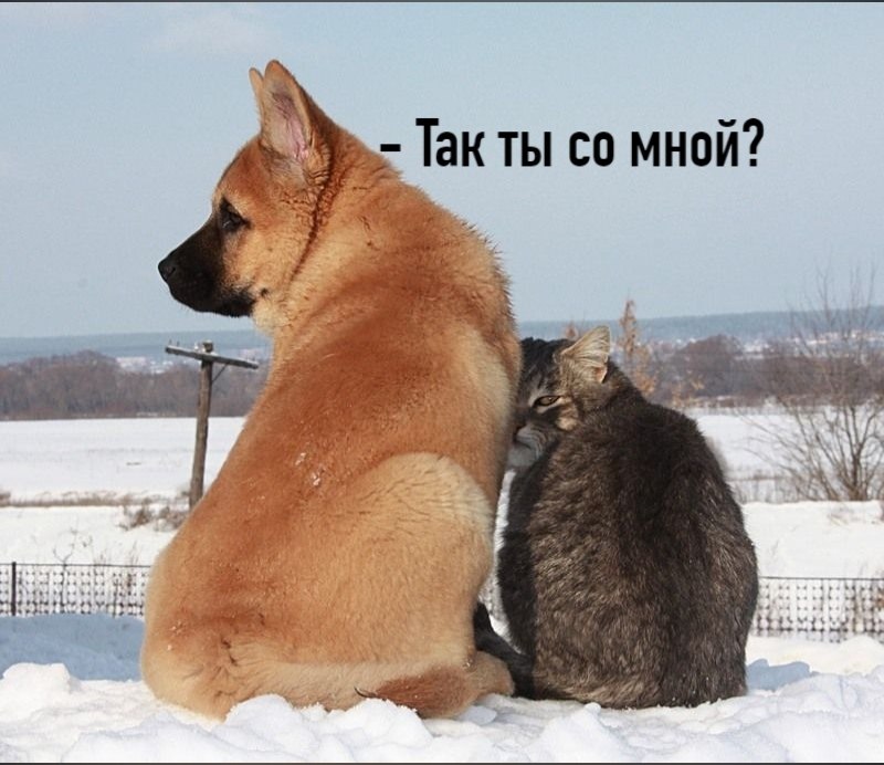       - 30  2025  12:28 - 2