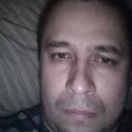 ������, ���������� �����, 40 ���