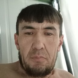 ����, ������, 40 ���