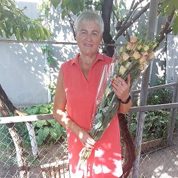 , 57, 