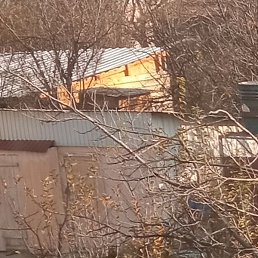 ������, �������, 47 ���