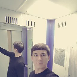 , 37, 