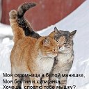 ���� �����, �����-���������, 61 ��� - ��������� 14 ������� 2026 � ������ ������ ��������