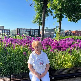 ��������, ������, 76 ���