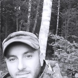 , 38, 