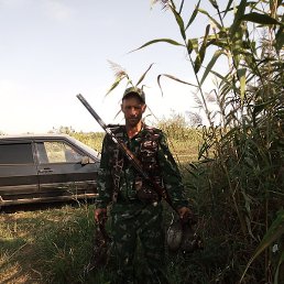 ������, ����, 41 ���