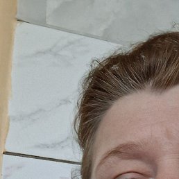 �����, �����, 49 ���