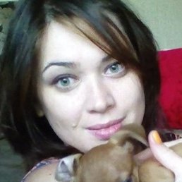 ����, ������ ��������, 41 ���