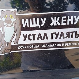 �������, ����, 66 ���