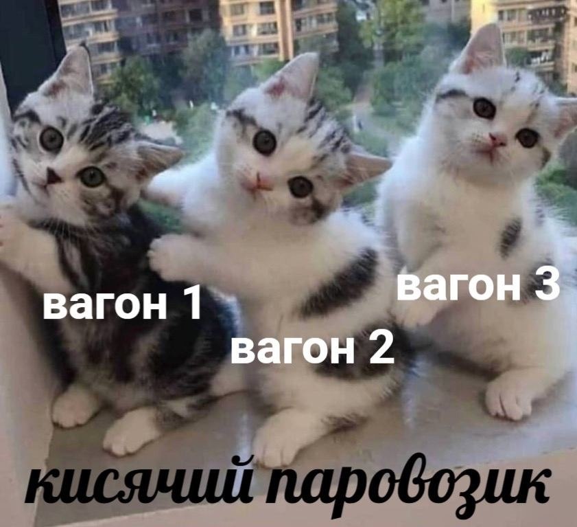    - 4  2024  06:33