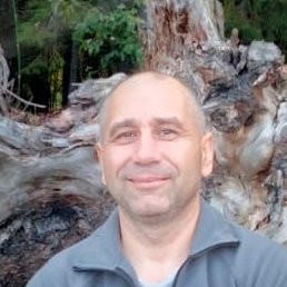 ������, ������������, 49 ���