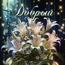 ���� �����, ������ - ��������� 16 ���� 2026 � ������ ������ ��������