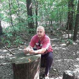, 52, 