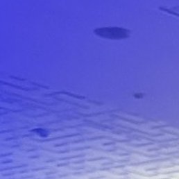 �������, ���������, 56 ���