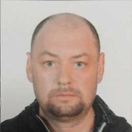 , 41, 