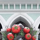 ���� ������, �����-���������, 66 ��� - ��������� 6 ������ 2026 � ������ ������ ��������