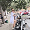 ���� * ����� *, ������-��-���� - ��������� 15 �������� 2025 � ������ ���� ����������