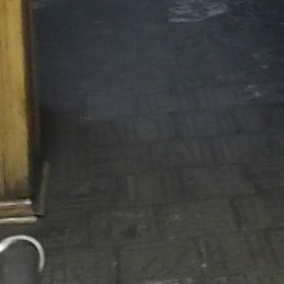 Serg, ������, 55 ���