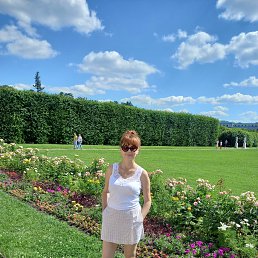 ���� �������, ������, 49 ��� - ��������� 3 ������� 2023