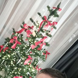 ����, ������, 44 ����