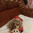 ���� Alla, ������-���, 53 ���� - ��������� 17 ������ 2024 � ������ ���� ����������
