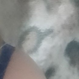 ����� ����������, ���������, 55 ���