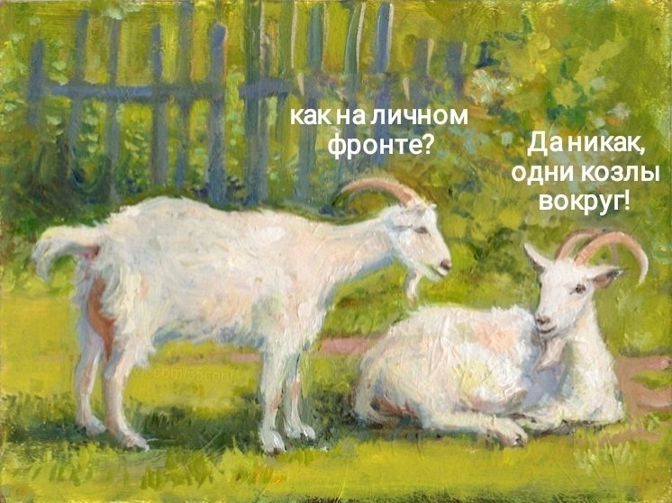 " ") - 13  2023  12:30