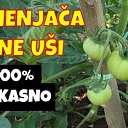 ���� ������ ����, ����-���, 50 ��� - ��������� 9 ��� 2026 � ������ ������ ��������