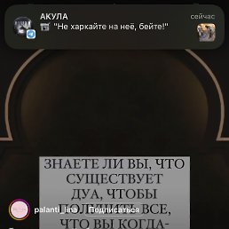 ���� ������, ����, 26 ��� - ��������� 23 �������� 2024