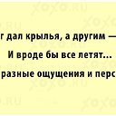  ,  -  9  2024    